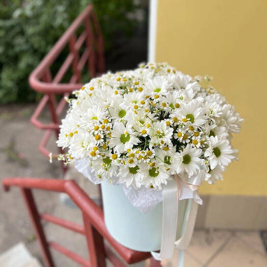 Композиция с ромашками