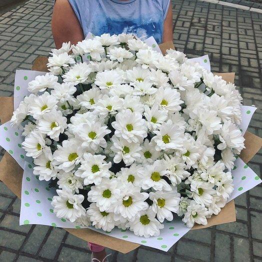 Ромашковая радость