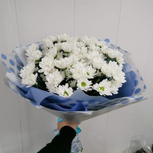 Баккарди