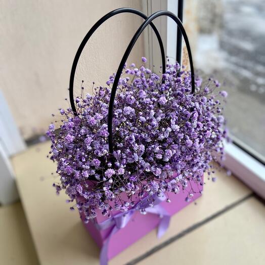 Gypsophila en una bolsa