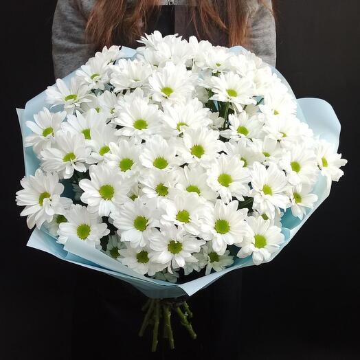 Букет из 11 хризантем