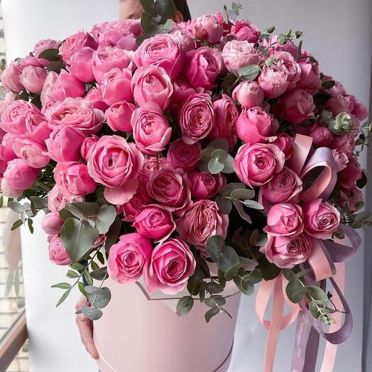 Flowers of Paradise 💞