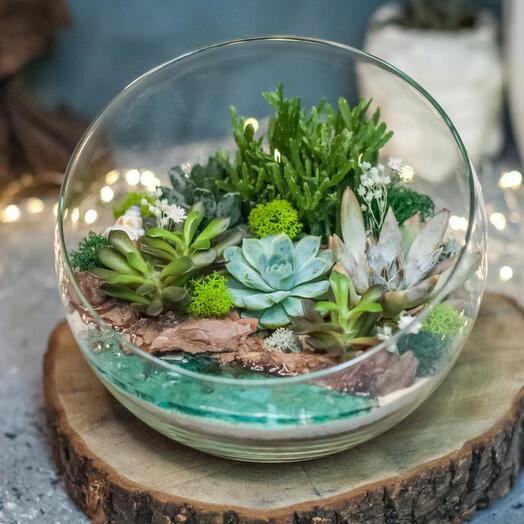Полусфера L с суккулентами и водоёмом - 237