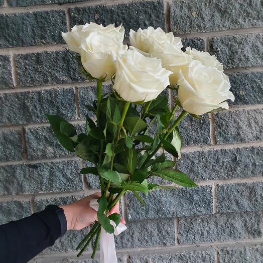 White roses under the ribbon