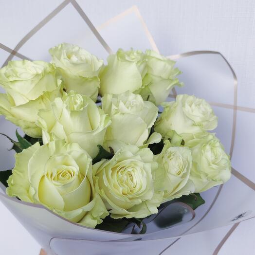 Rosas Mondial en paquete de diseño