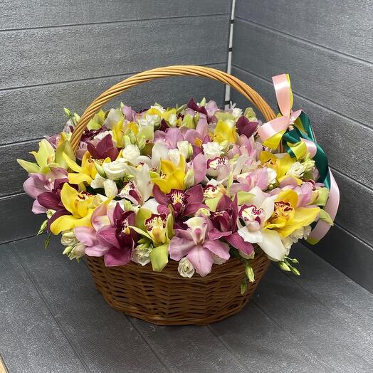 Orchid mix in the basket