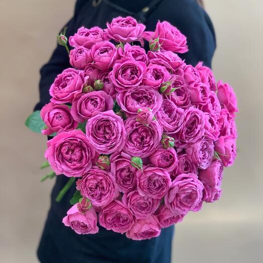 Monobucket of 15 Misty Bubbles bush roses