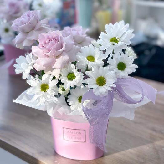 Lilac dawn