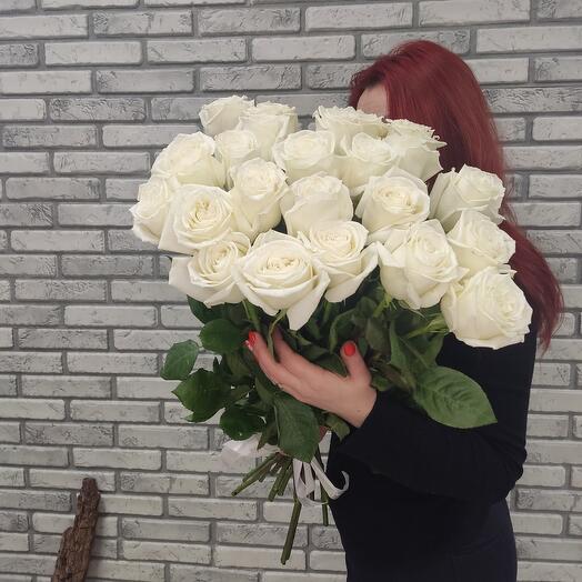 Rosas blancas 21