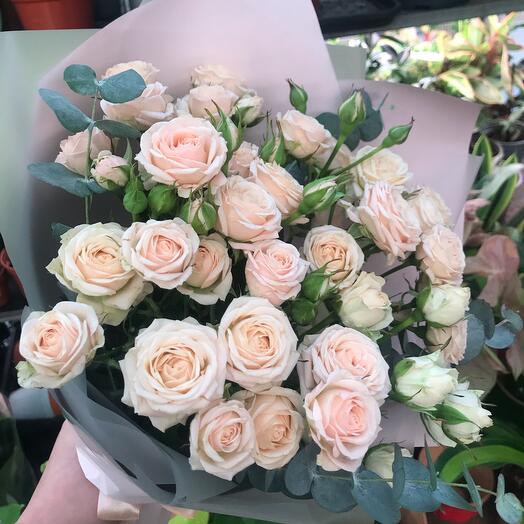 Rosas arbustos con eucalipto fragante