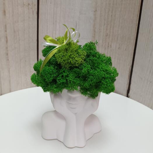 Композиция из стабилизированного мха Светлые мысли