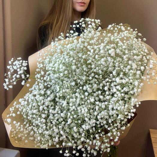 Nube de gypsophila 9 ramitas