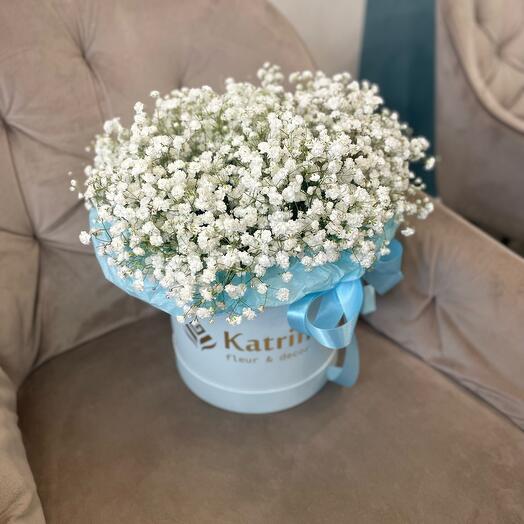 Коробка с белой гипсафилой 🌸