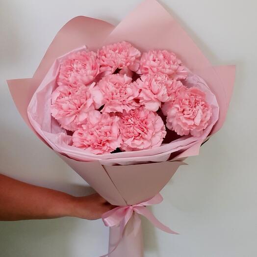 Hermosas Dianthus 🌸