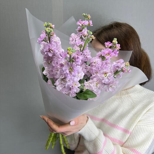 Матиолла ароматная 7 штук