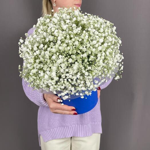 Flowers in a box with a white Gypsophila