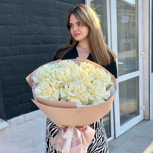 French roses are white