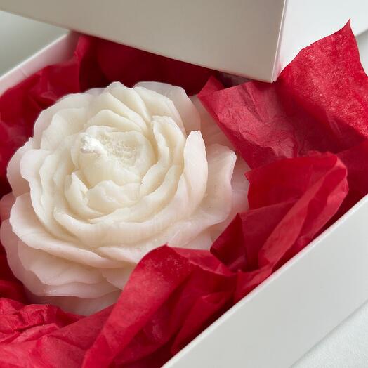 Свеча-комплимент ПИОН