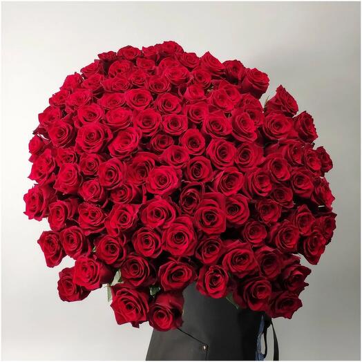 Bouquet of red roses Explorer
