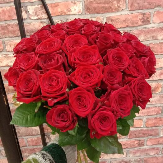 Moscow Rose Red Naomi
