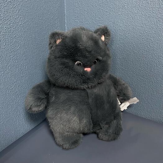 Пушистый котик