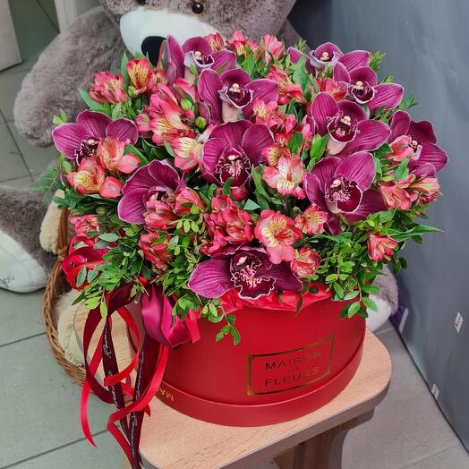 Vip beautiful