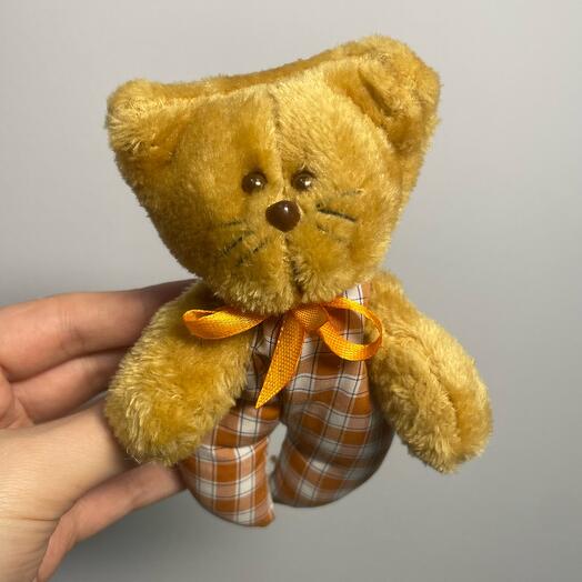 Котик малыш