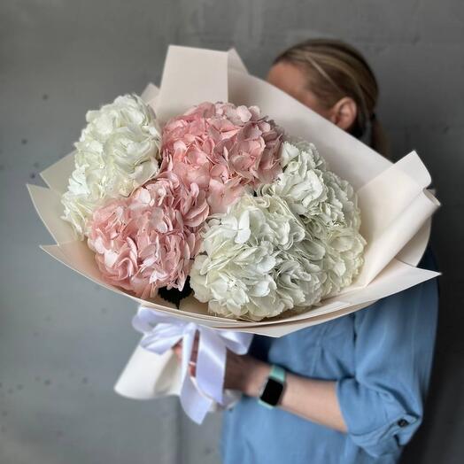 Букет из 5 гортензий (white/pink)