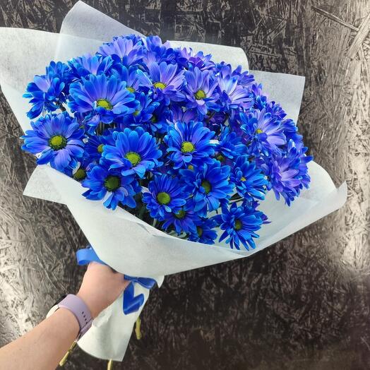 Ramo de crisantemos Azules
