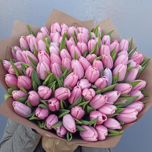 Pink tulips 61 pieces