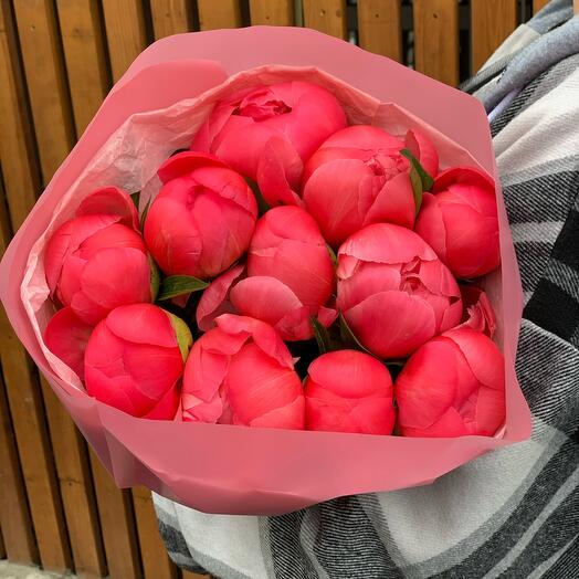 Coral peonies 11 pieces