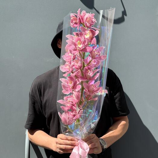 Розовая Орхидея Цимбидиум 🌸