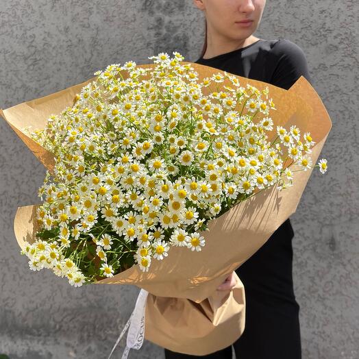 Букет из кустовой ромашки