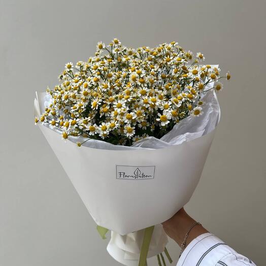 Ромашка ароматная кустовая