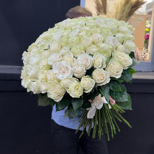 100 white rose