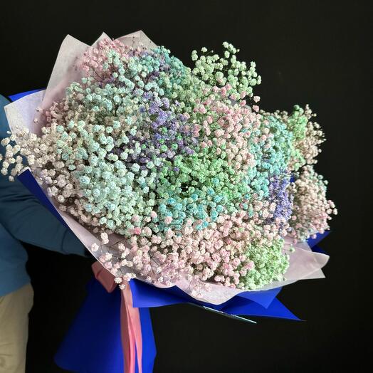 21 Gypsophila Szivárvány