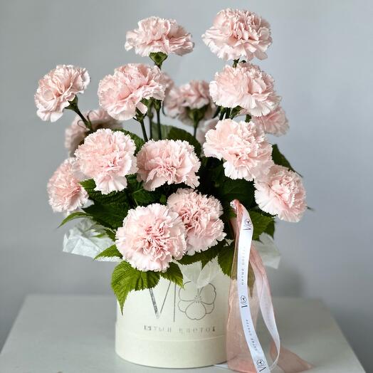 Pink carnations in a box