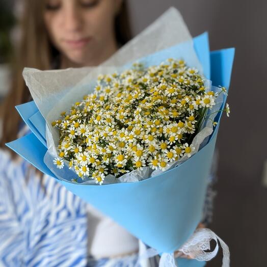 Букет ромашек (арт. 72)