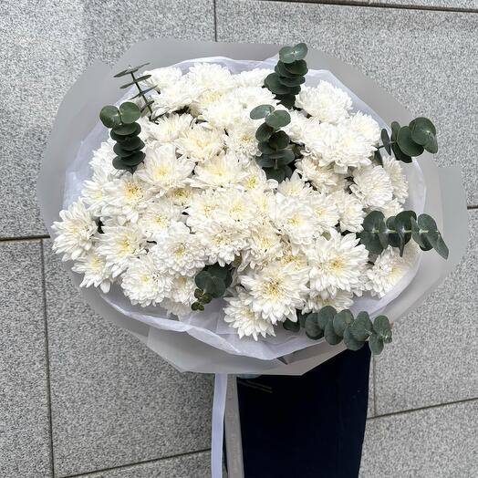 Моно из сортовой хризантемы