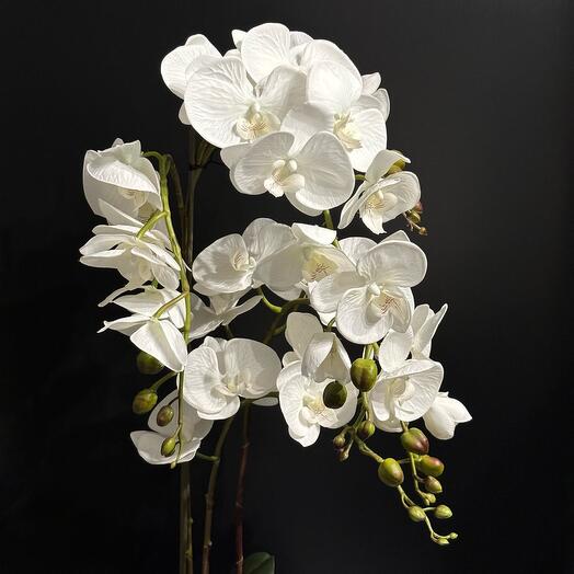 Decor🌺L_01_Фаленопсис (искусственный)