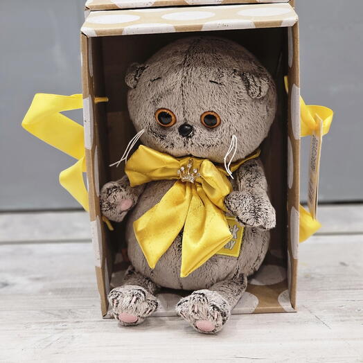 Кот басик в коробке