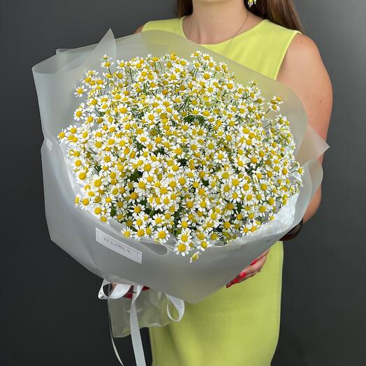 Букет из ромашек