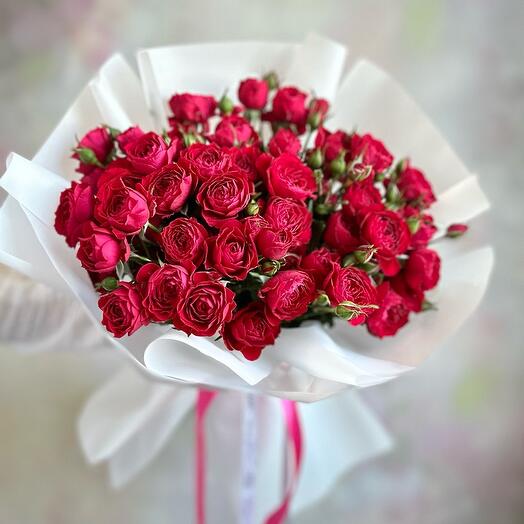 Bush roses