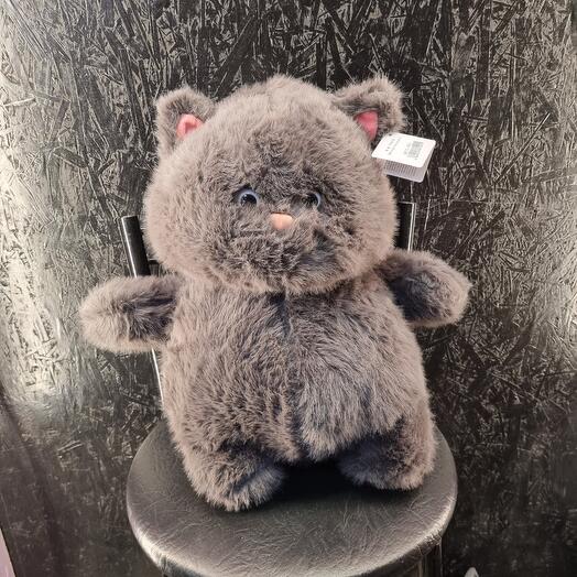 Кот толстяк