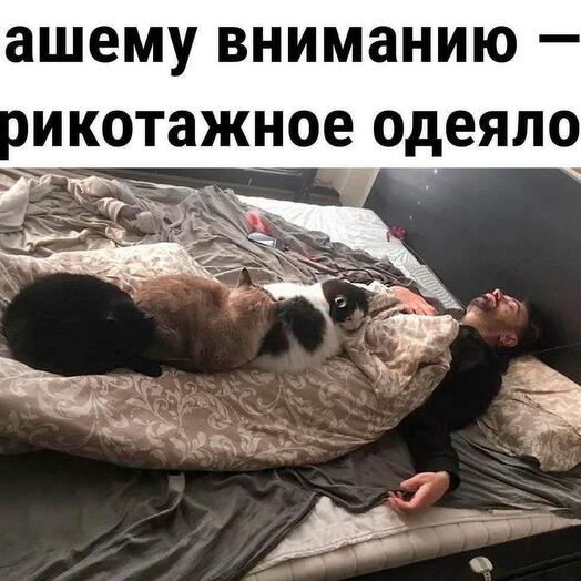 Трикотажное одеяло