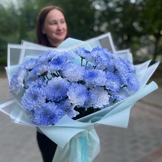 Хризантема синяя
