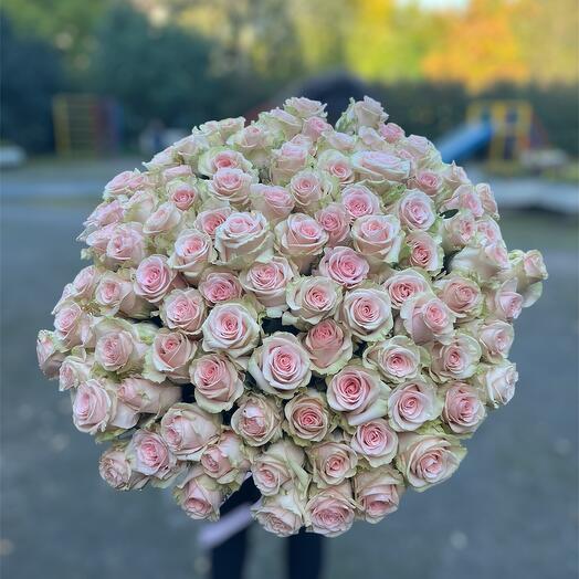 Розы 101 штука 70 см