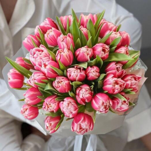 Double tulips