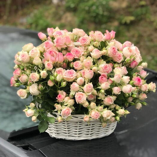 Pink roses baaket