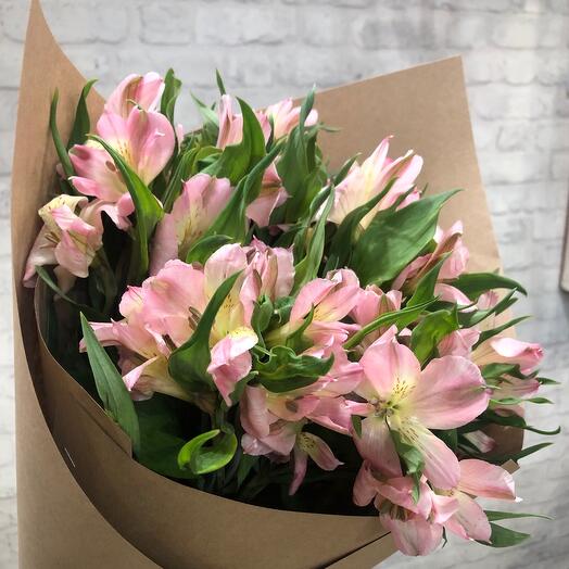 Alstroemeria pink